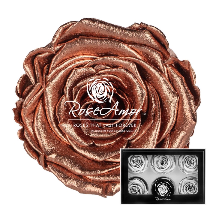 Lplus Metallic Copper Whi04