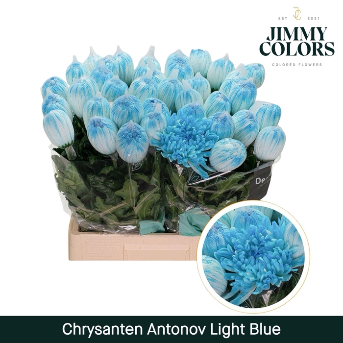 <h4>Chr G Antonov Light Blue</h4>