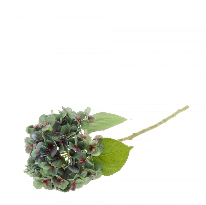<h4>Kunstbloemen Hydrangea 55cm</h4>