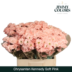 Chr T Kennedy Soft Pink