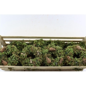 Wr Advent Naturel 20cm ( Melli)