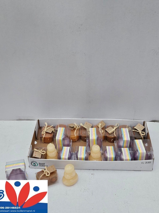 <h4>HUIS EN TUINDECO H%</h4>