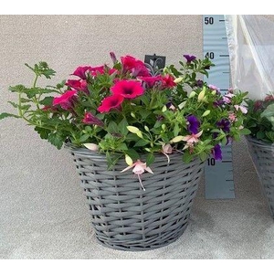 Tuinplanten Mix in grijze getinten manden