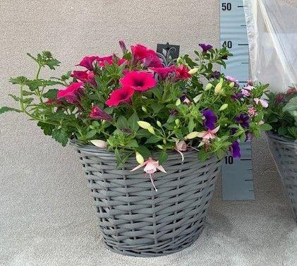 <h4>Tuinplanten Mix in grijze getinten manden</h4>