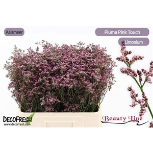 Lim Piuma Pink Touch