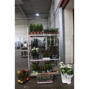 ** Aanb** Plant Mix **158 Stk** Pm 12-17