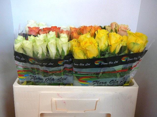 <h4>R GR GEM IN FUST</h4>