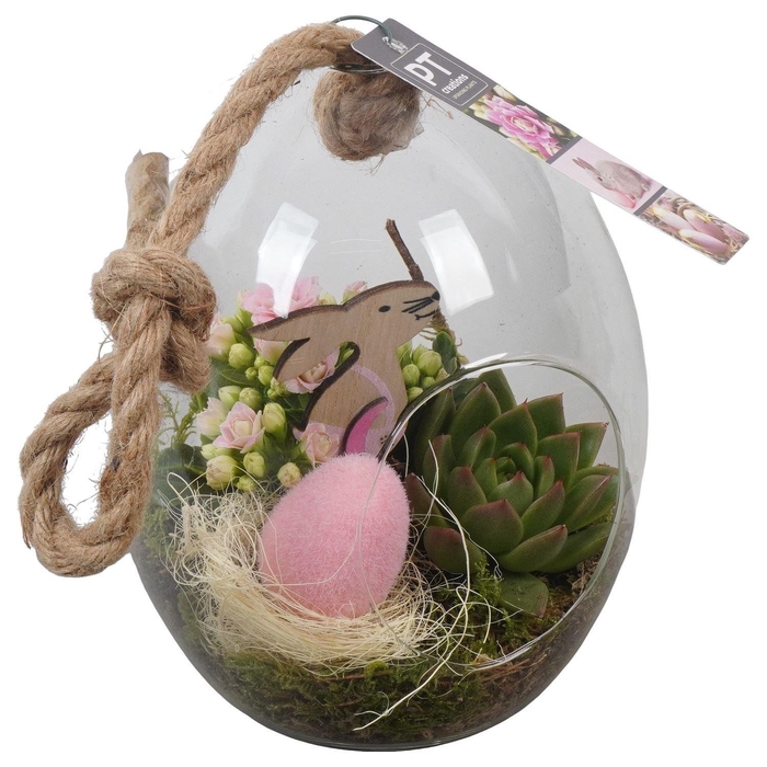 <h4>9312 ROZE EI GLAS</h4>