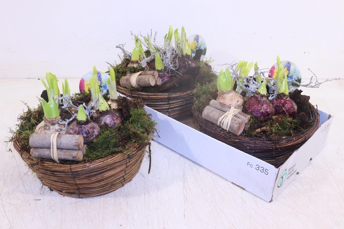 <h4>ARR BOL KNOLGEWAS</h4>