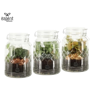 90718: Terrarium arrangement