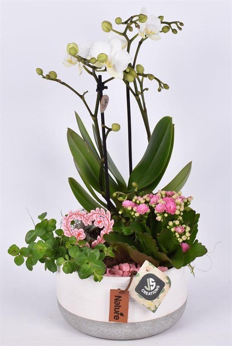 <h4>Keramiek schaal label 16.5 cm</h4>