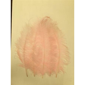 Feather Ostrich 5 Pcs L55