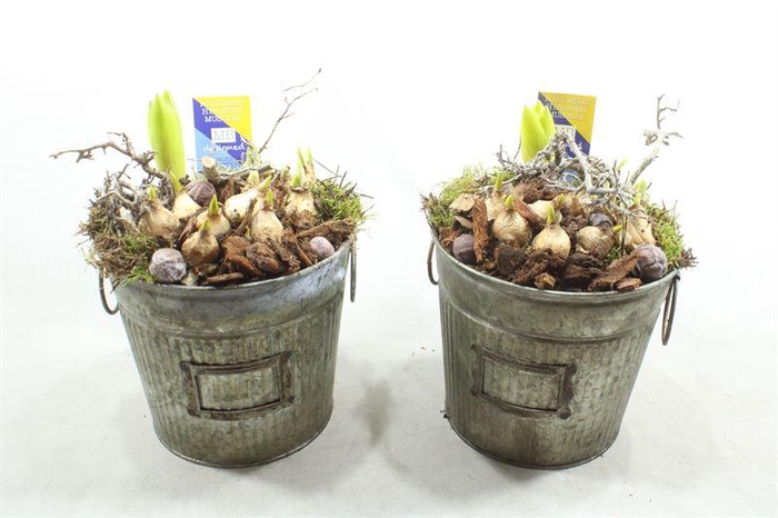 <h4>G253 ZINK EMMER HOOG BM</h4>