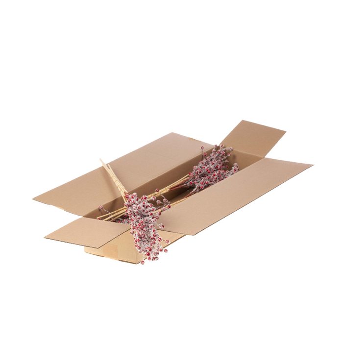 <h4>Ilex B O/s 10p Sb Red+snw</h4>