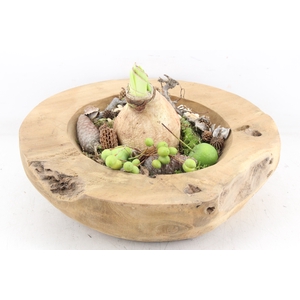 arr4 Amaryllis MB - Teak schaal L x2