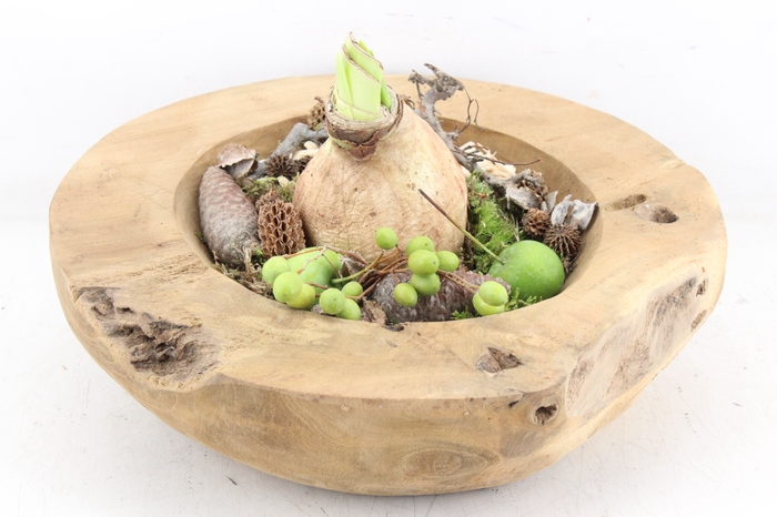 <h4>arr4 Amaryllis MB - Teak schaal L x2</h4>