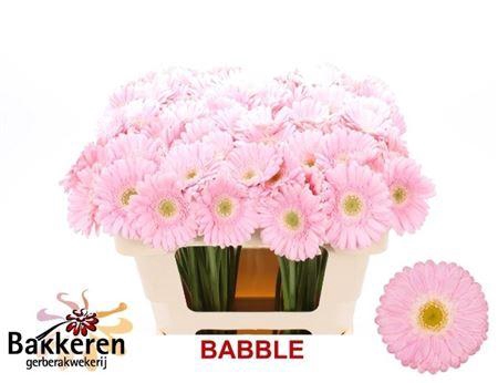 <h4>Ge Mi Babble</h4>