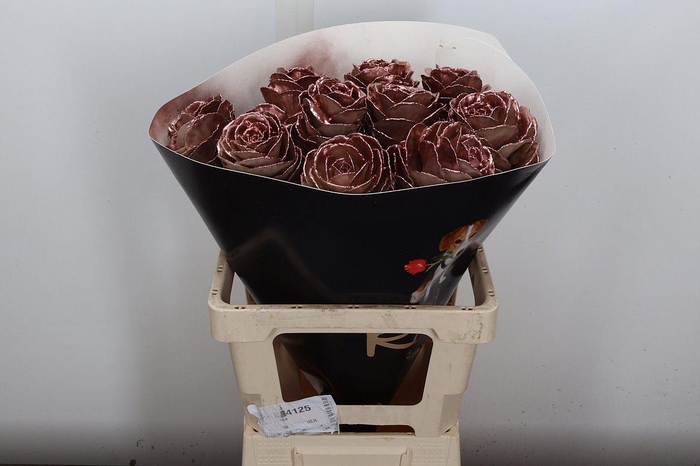 <h4>Brassica Wx (ex) Koper</h4>