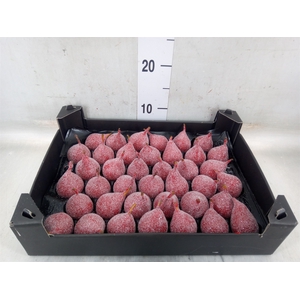 Decoratieve materialen   ...H%