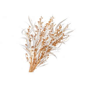 Dried Bleached Eucalyptus Exotica