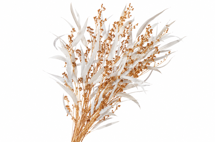 <h4>Dried Bleached Eucalyptus Exotica</h4>