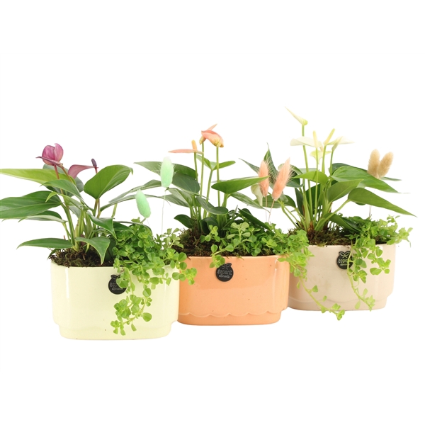 <h4>11513: Soft sculpture arrangement</h4>