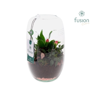 Green Bottle Isabella Medium Love met arrangement