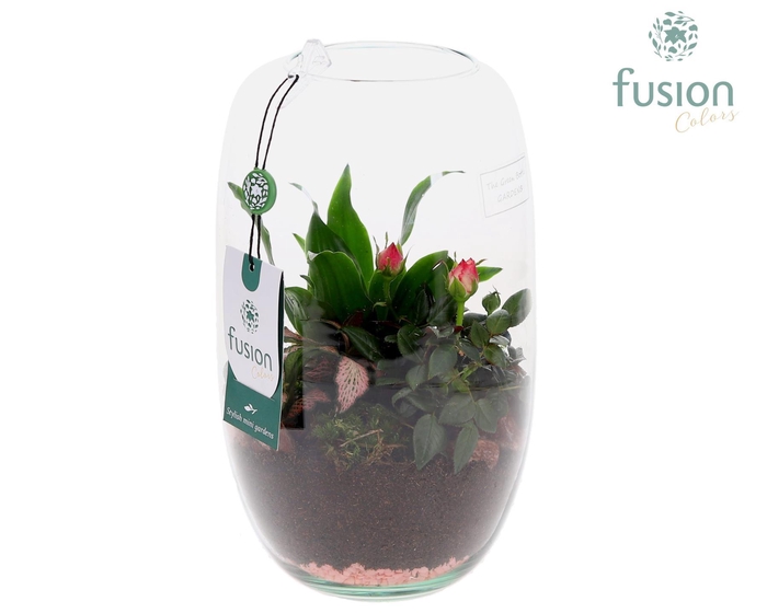 <h4>Green Bottle Isabella Medium Love met arrangement</h4>