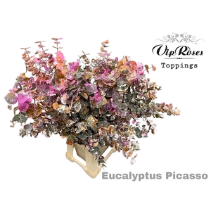 EUCA CINEREA PICASSO 200GR