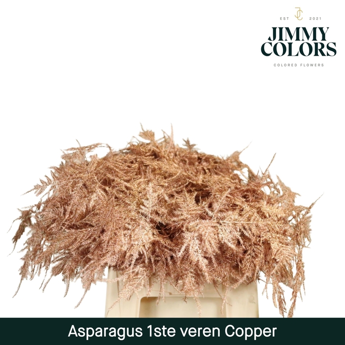 <h4>Aspa 1ste Veren Mtlc. Koper</h4>