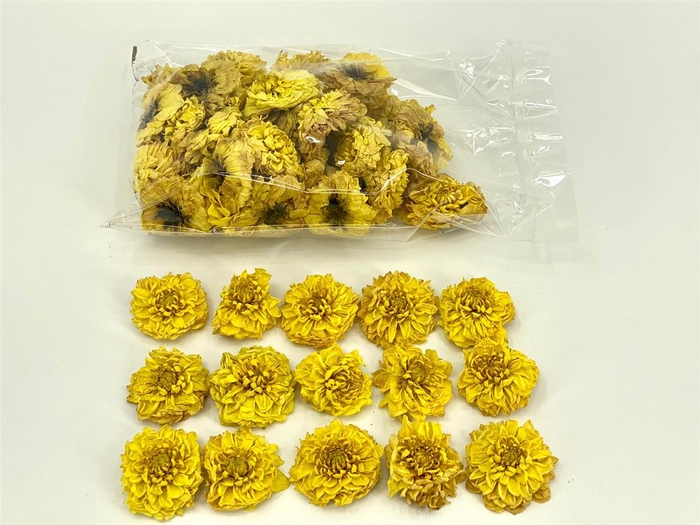 Dried Dahlia Heads Yellow Bag (50-60 Heads)