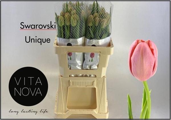 <h4>TU DU SWAROVSKI UNIQUE</h4>