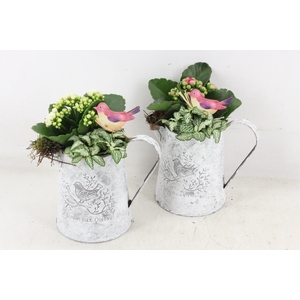 arr2 TD - Zink kan - roze/wit