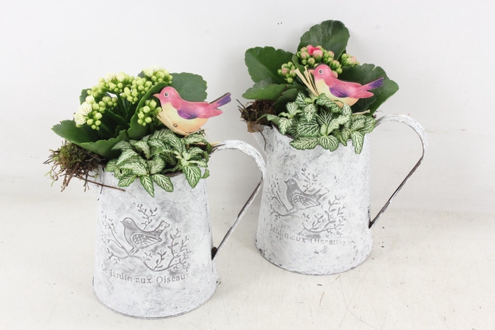 <h4>arr2 TD - Zink kan - roze/wit</h4>