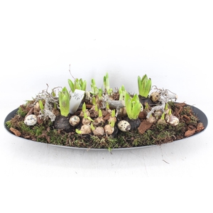 arr4 Bollenmix MB - Kunstst. ovaal XXL