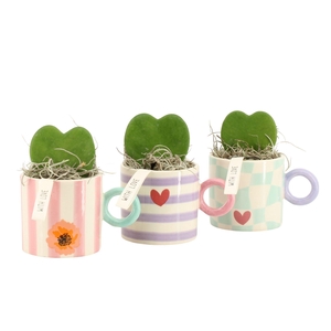 21850: Lovess arrangement