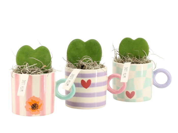 <h4>21850: Lovess arrangement</h4>