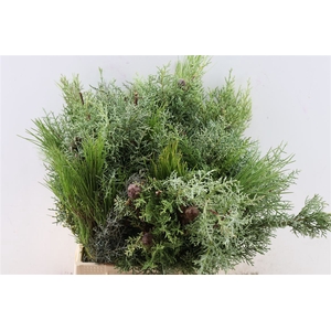 Bqt Kerstgroen Deluxe 45cm Pbs