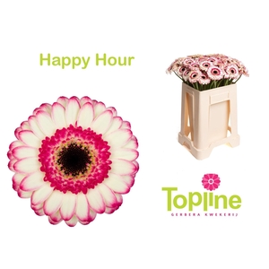 GE MI HAPPY HOUR