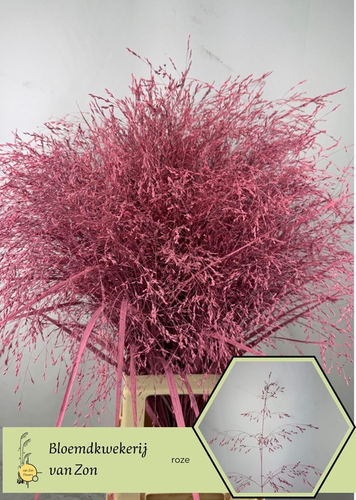 <h4>SIERGR OV KLB H%</h4>