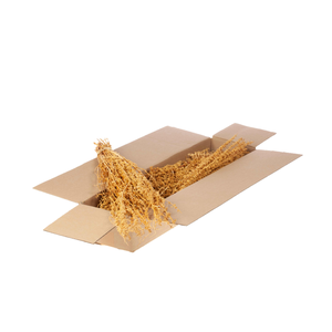 Palak Stick Sb Bleached White