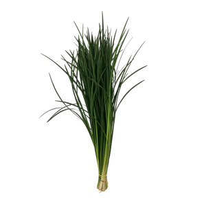 LILYGRASS G.O.