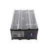 Oasis Eychenne Black Raquette 50cm