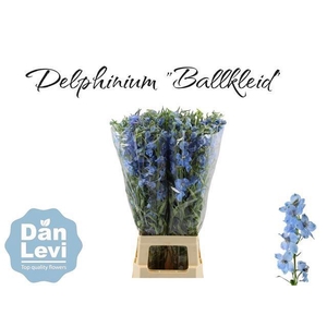 DELPH EN BALLKLEID