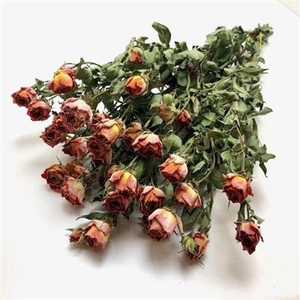 DROOG ROSES SPRAY ARIYA ORANGE