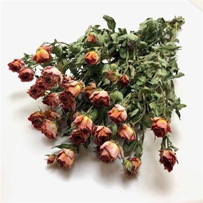 <h4>DROOG ROSES SPRAY ARIYA ORANGE</h4>