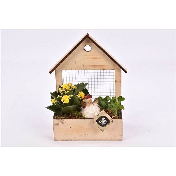 <h4>Hout huisje met gaas 20x12cm</h4>