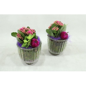 arr2 PTC 8283 Paars ruit glas