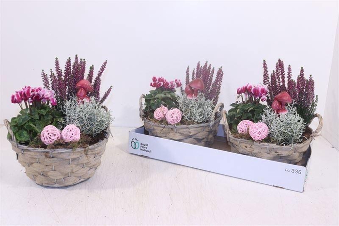 <h4>ARR TUINPLANTEN</h4>