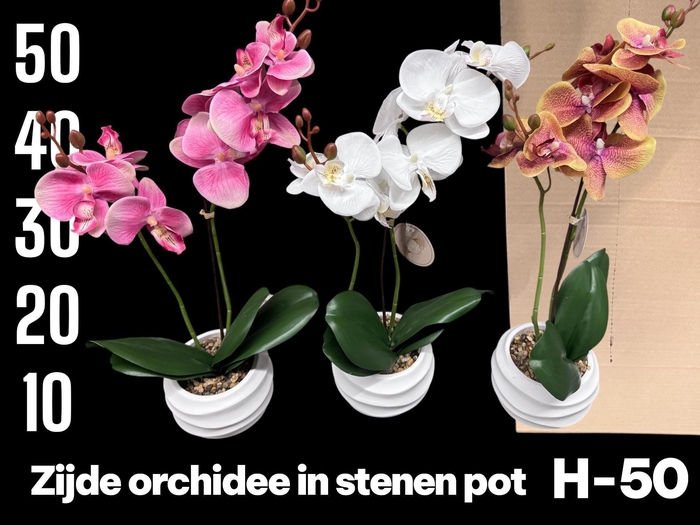 <h4>HUIS EN TUINDECO H%</h4>